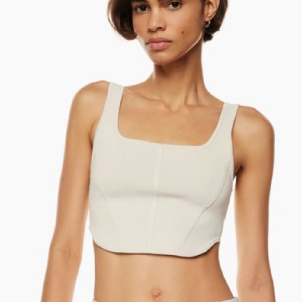 Aritzia Corset